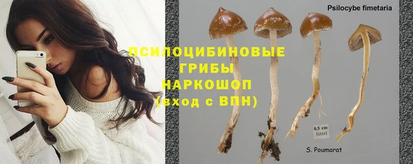 ECSTASY Абдулино