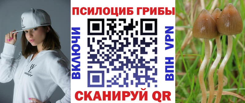 Псилоцибиновые грибы Psilocybe  KRAKEN онион  Струнино 
